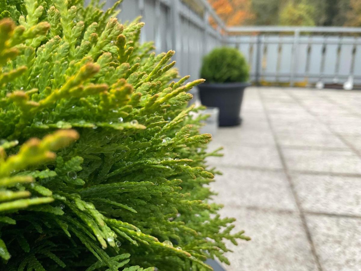 Ferienwohnung Schwarzwald Tannenzaepfle Baiersbronn Dış mekan fotoğraf