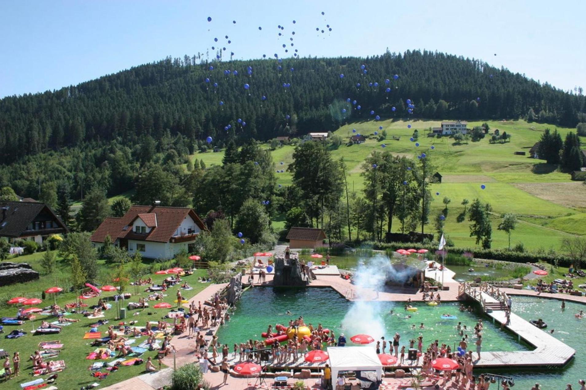 Ferienwohnung Schwarzwald Tannenzaepfle Baiersbronn Dış mekan fotoğraf