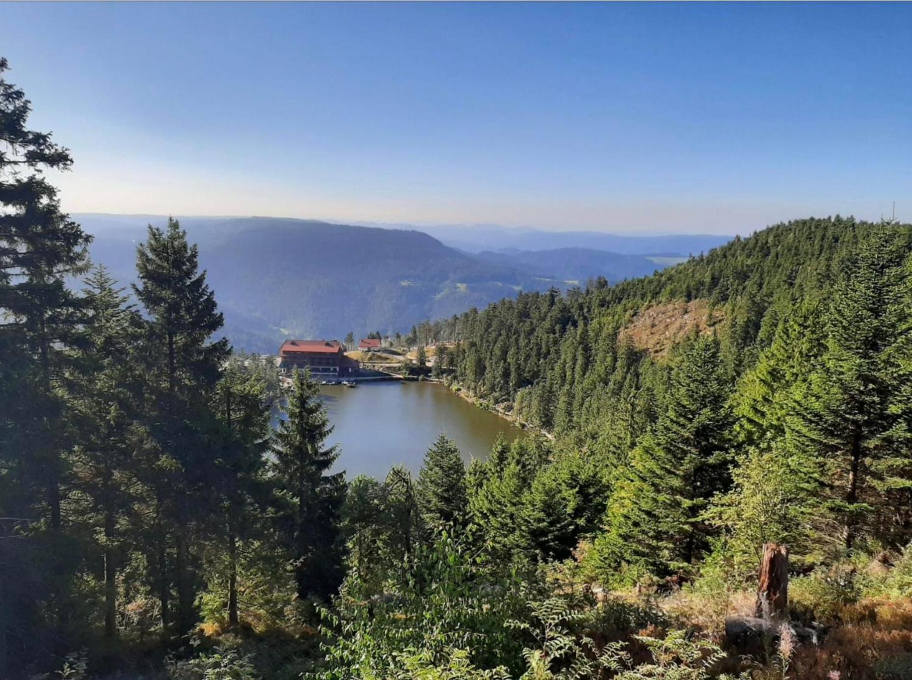 Ferienwohnung Schwarzwald Tannenzaepfle Baiersbronn Dış mekan fotoğraf