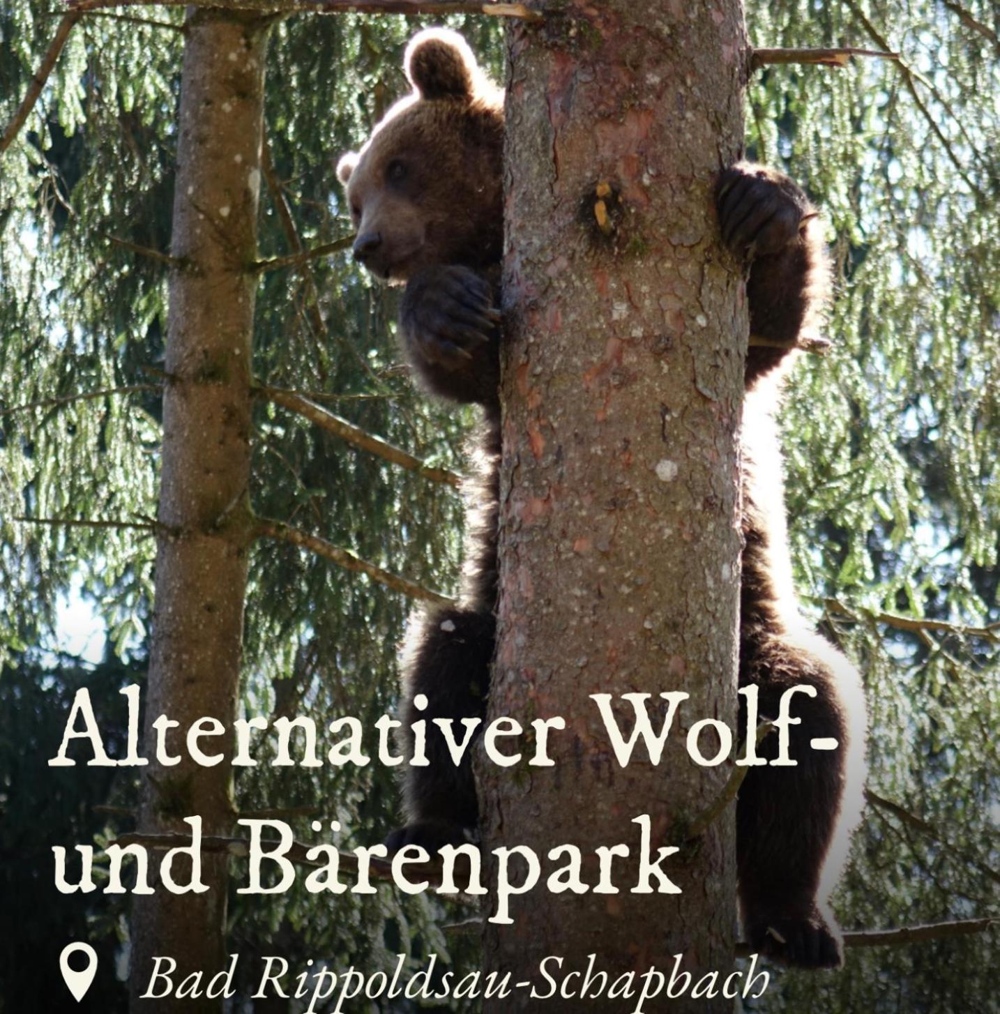 Ferienwohnung Schwarzwald Tannenzaepfle Baiersbronn Dış mekan fotoğraf
