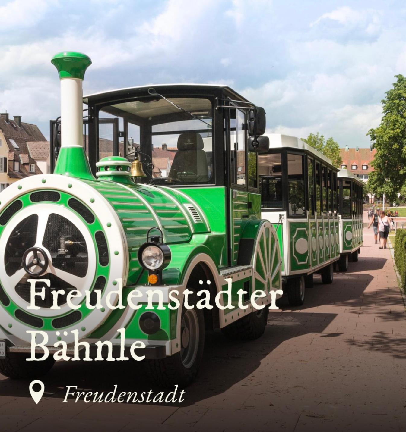 Ferienwohnung Schwarzwald Tannenzaepfle Baiersbronn Dış mekan fotoğraf