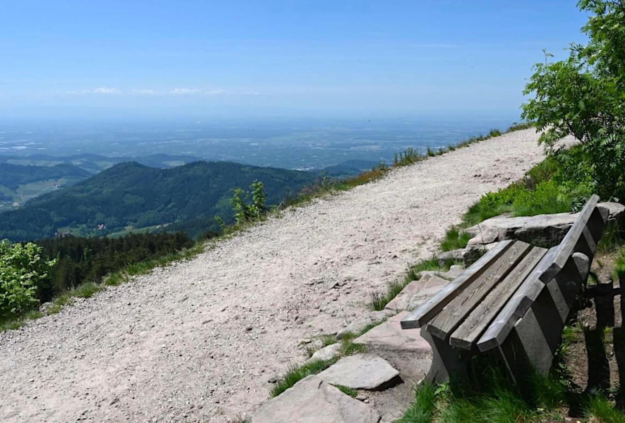 Ferienwohnung Schwarzwald Tannenzaepfle Baiersbronn Dış mekan fotoğraf