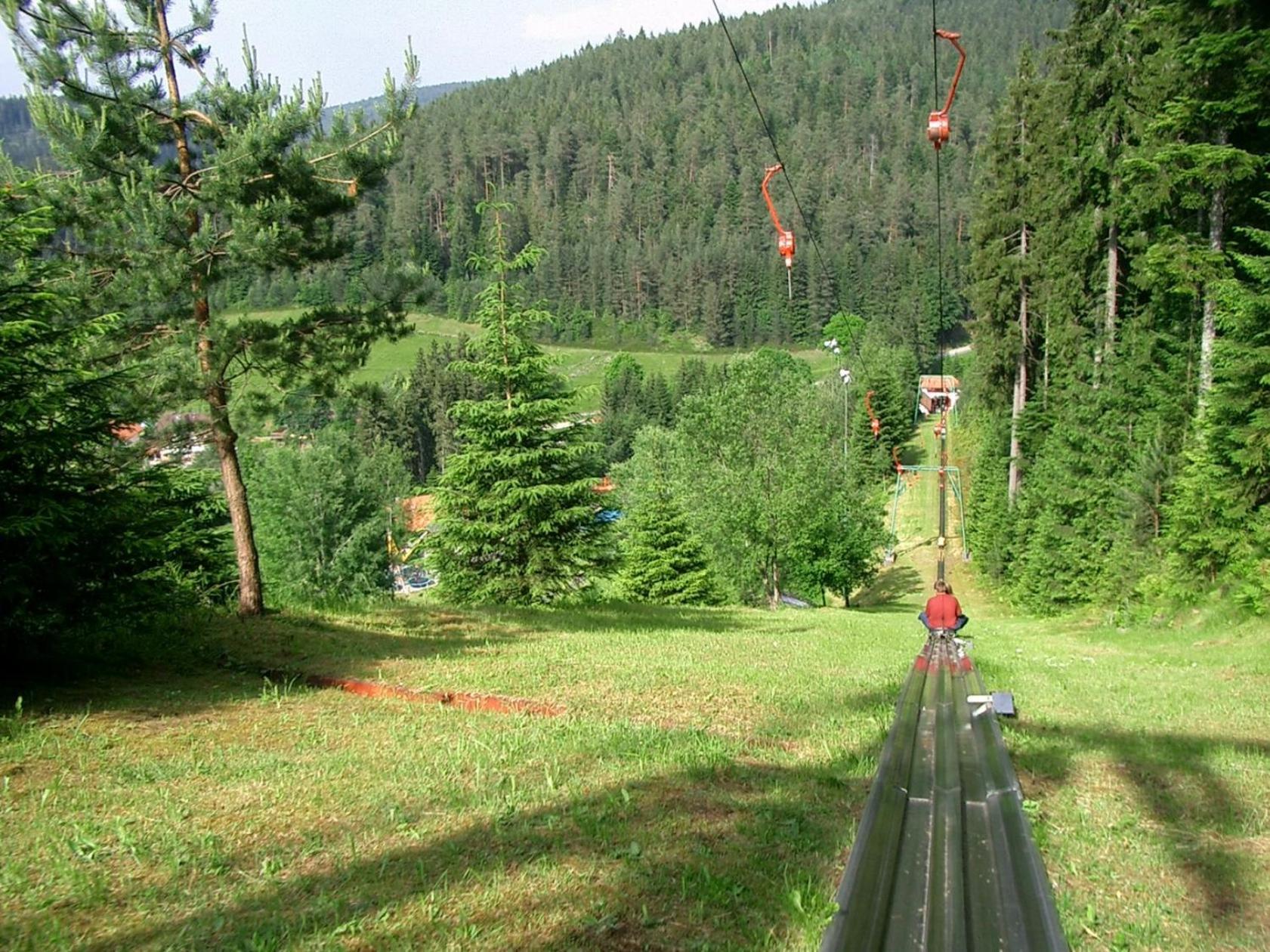 Ferienwohnung Schwarzwald Tannenzaepfle Baiersbronn Dış mekan fotoğraf